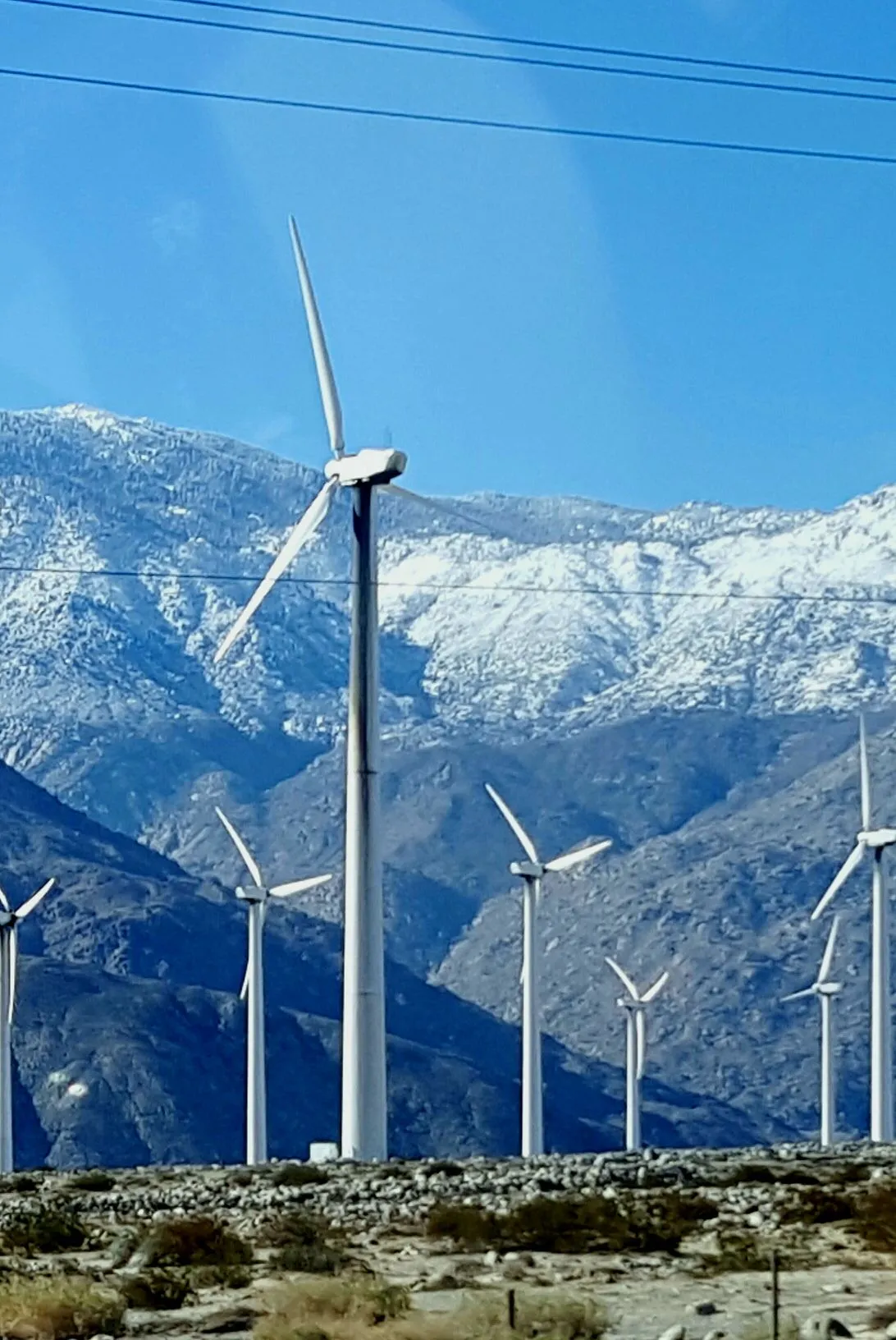 2016-01-08 12.10.22.webp