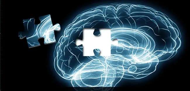 2016-09-023 Presidential Debate Schedule for 2016 - how the brain remembers.webp