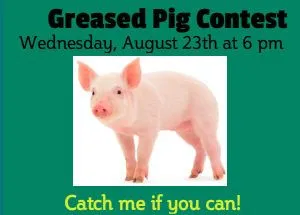 2017-PC-Fair-Greased-Pig-300x215.webp