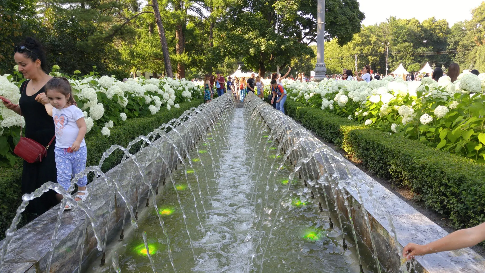 20170812_160416.webp