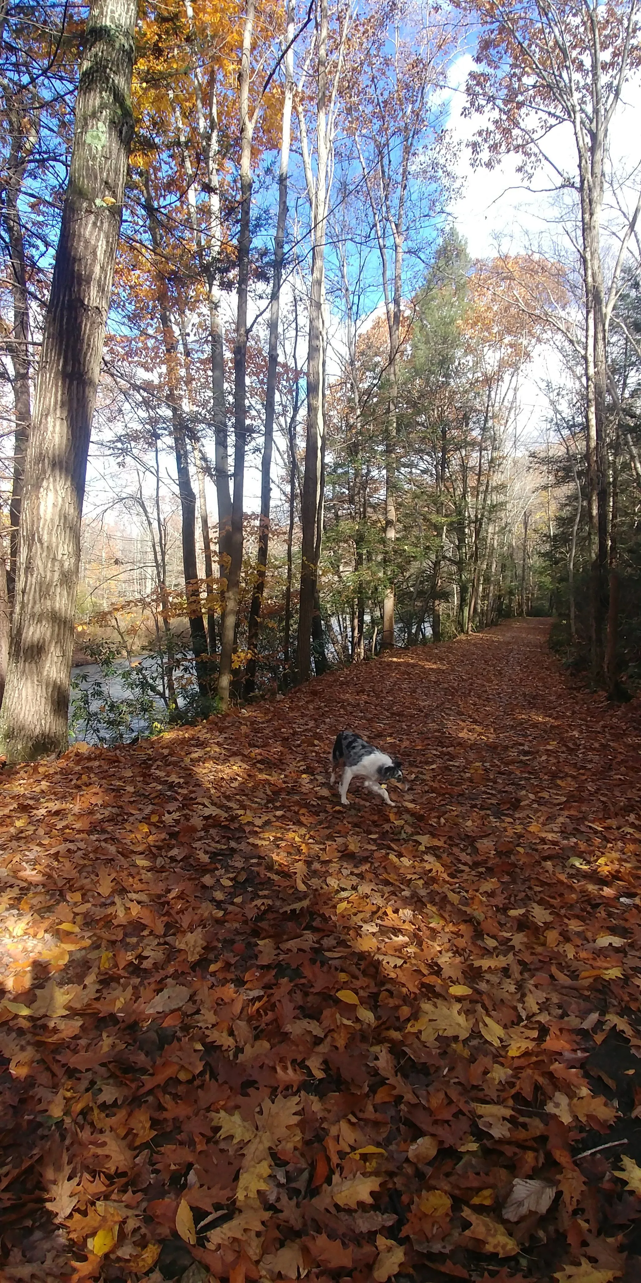 20181106_125210.webp