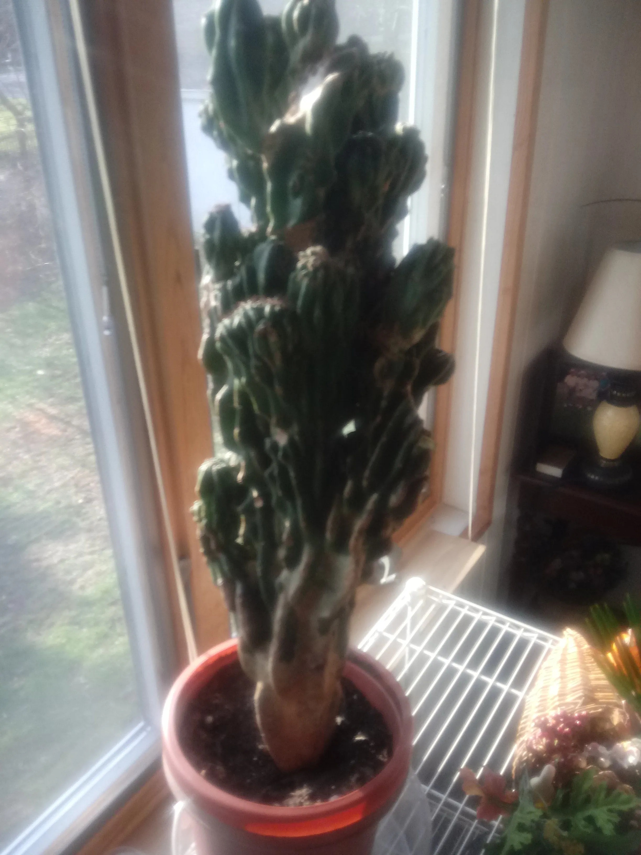 20181125_140335.webp