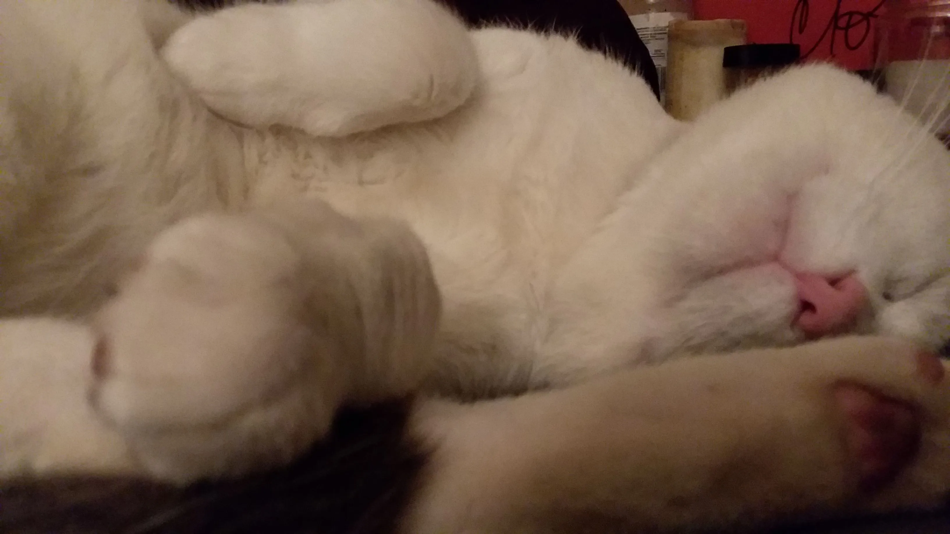 20190112_160047.webp