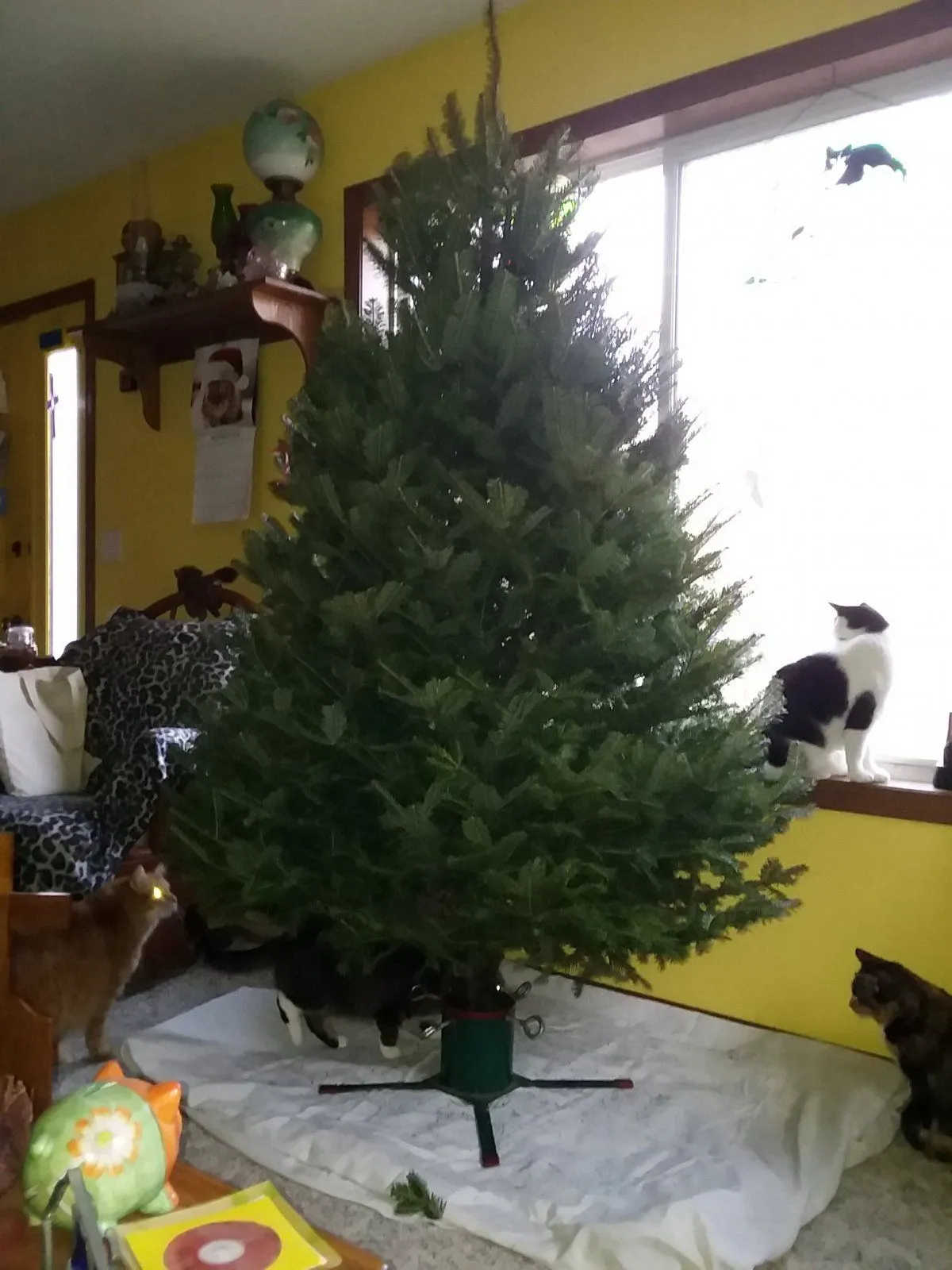 2020 christmas tree9a.webp