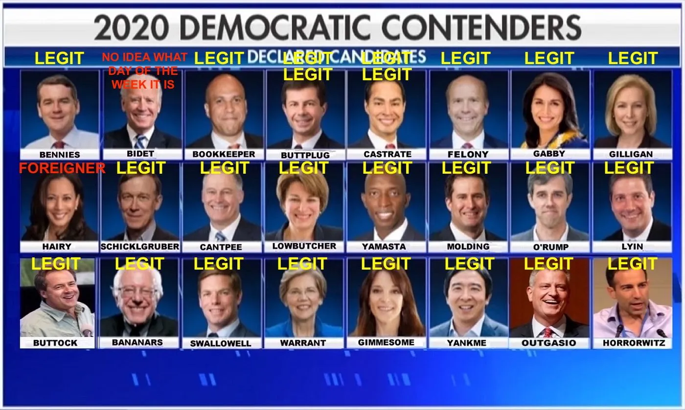 2020 Dem Hopefuls copy.jpg