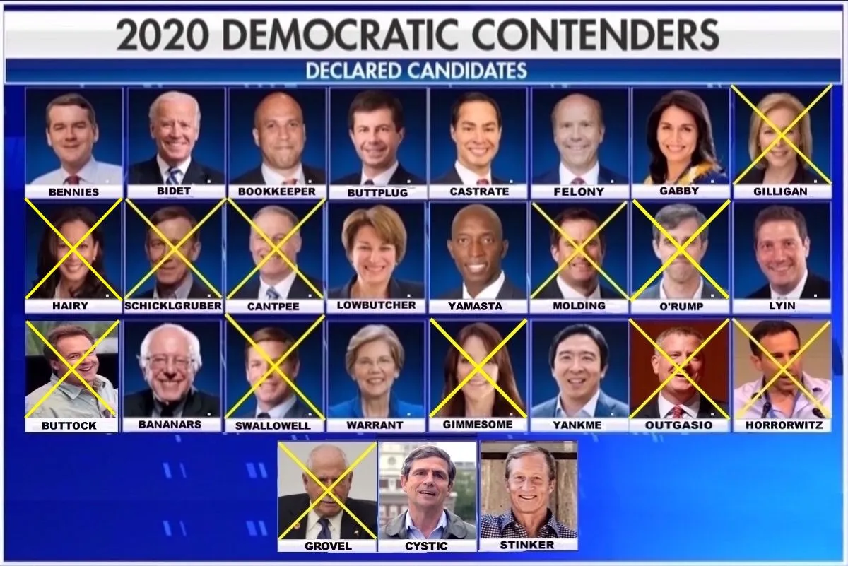2020 Dem Hopefuls Main.webp