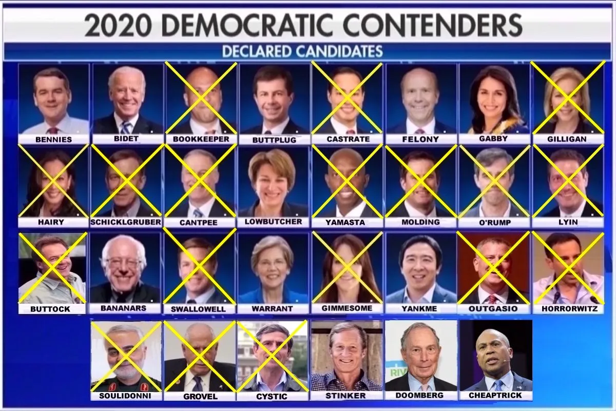 2020 Dem Hopefuls Main.webp