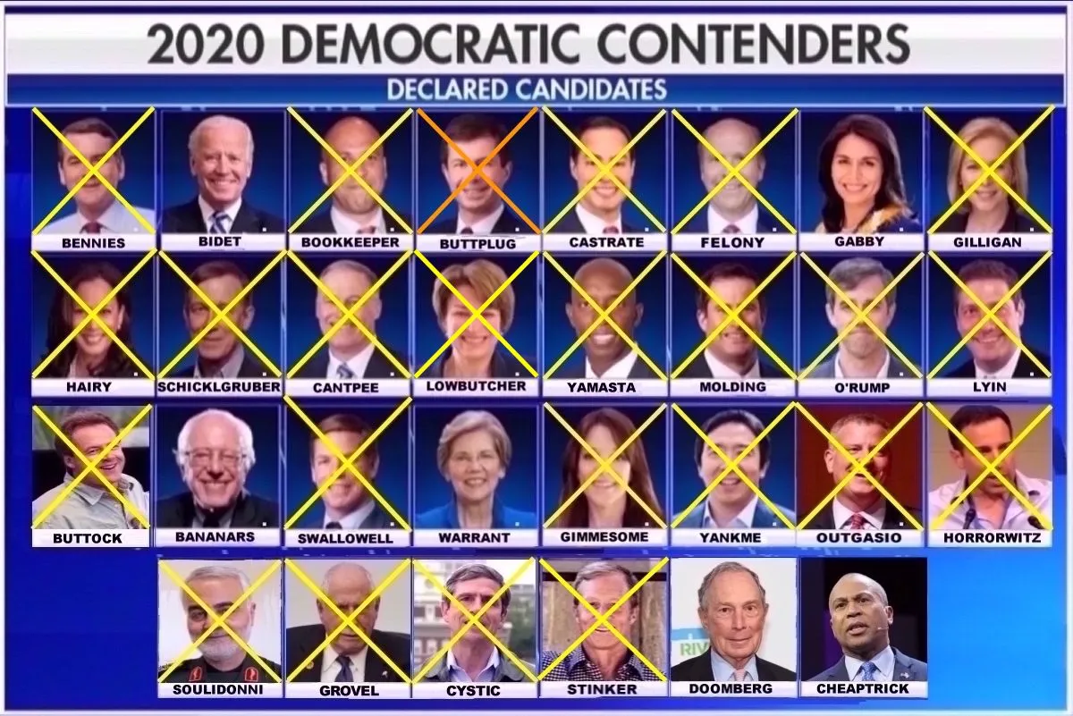 2020 Dem Hopefuls Main.webp