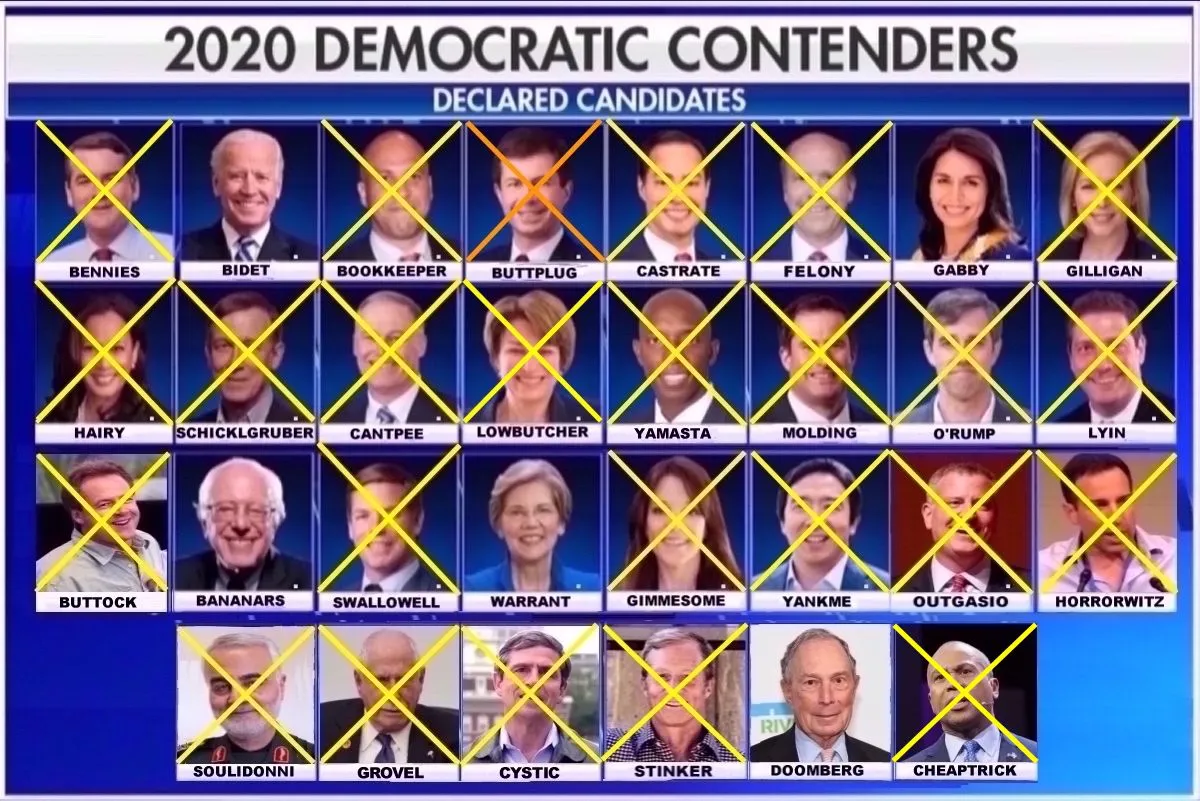 2020 Dem Hopefuls Main.webp
