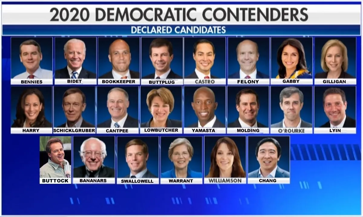 2020 Dem Hopefuls.webp