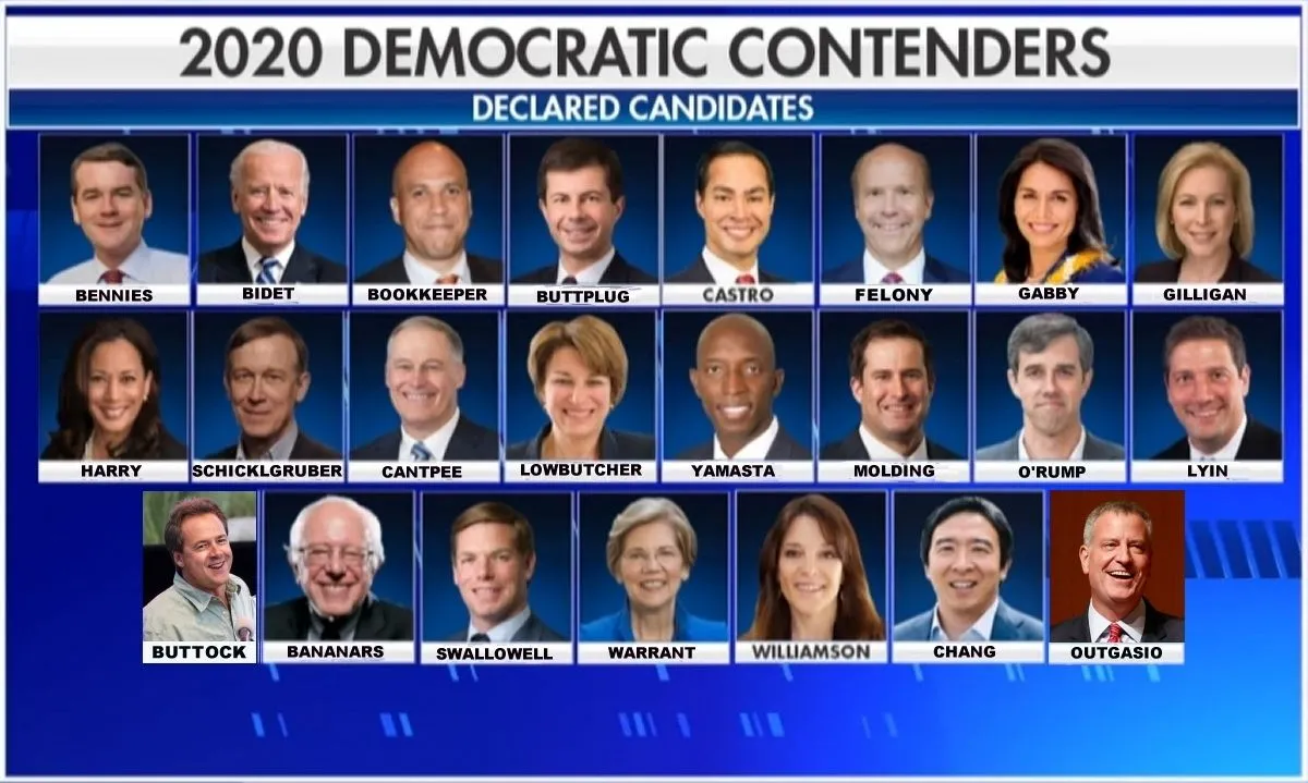 2020 Dem Hopefuls.webp