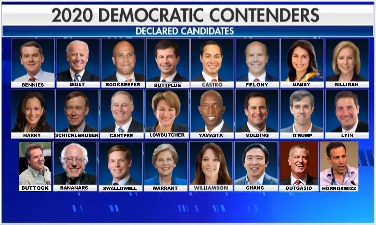 2020 Dem Hopefuls.webp