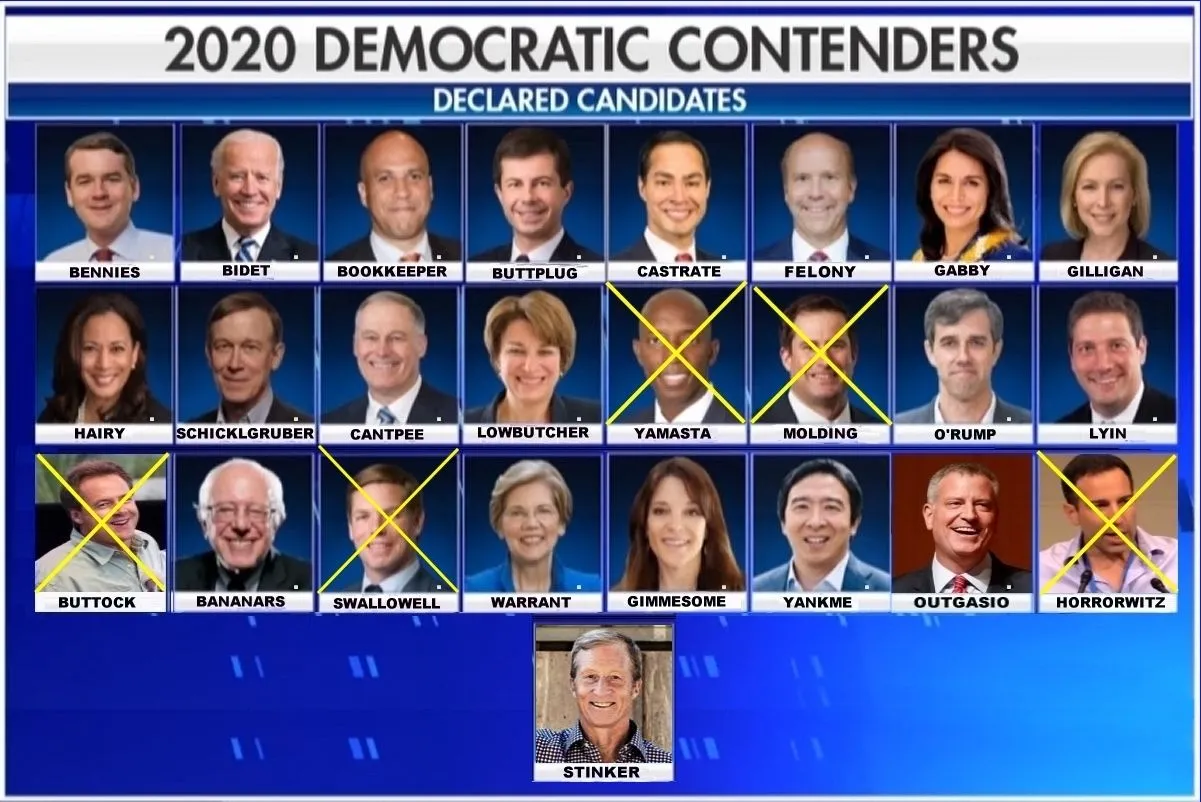 2020 Dem Hopefuls.webp