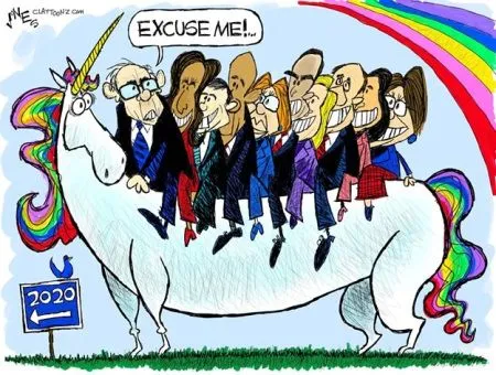 2020-dem-unicornlolol.webp