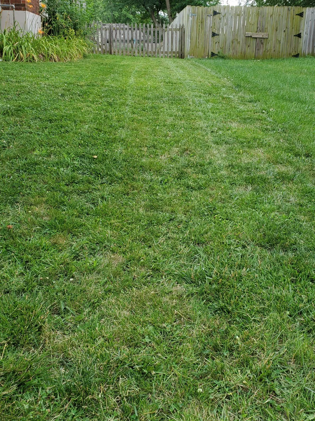 20200704_133622.webp
