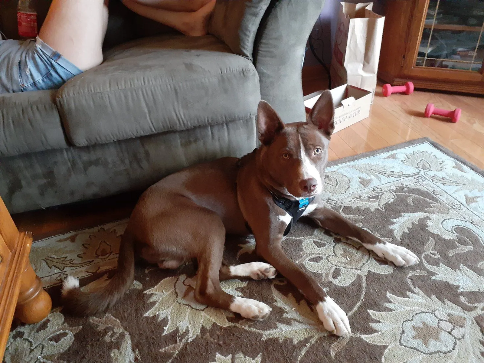 20200802_182422.jpg