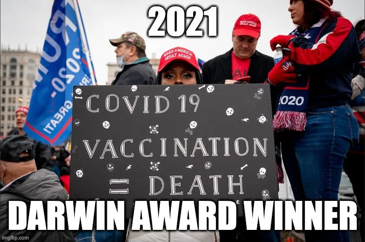 2021 Darwin Award Winner.webp