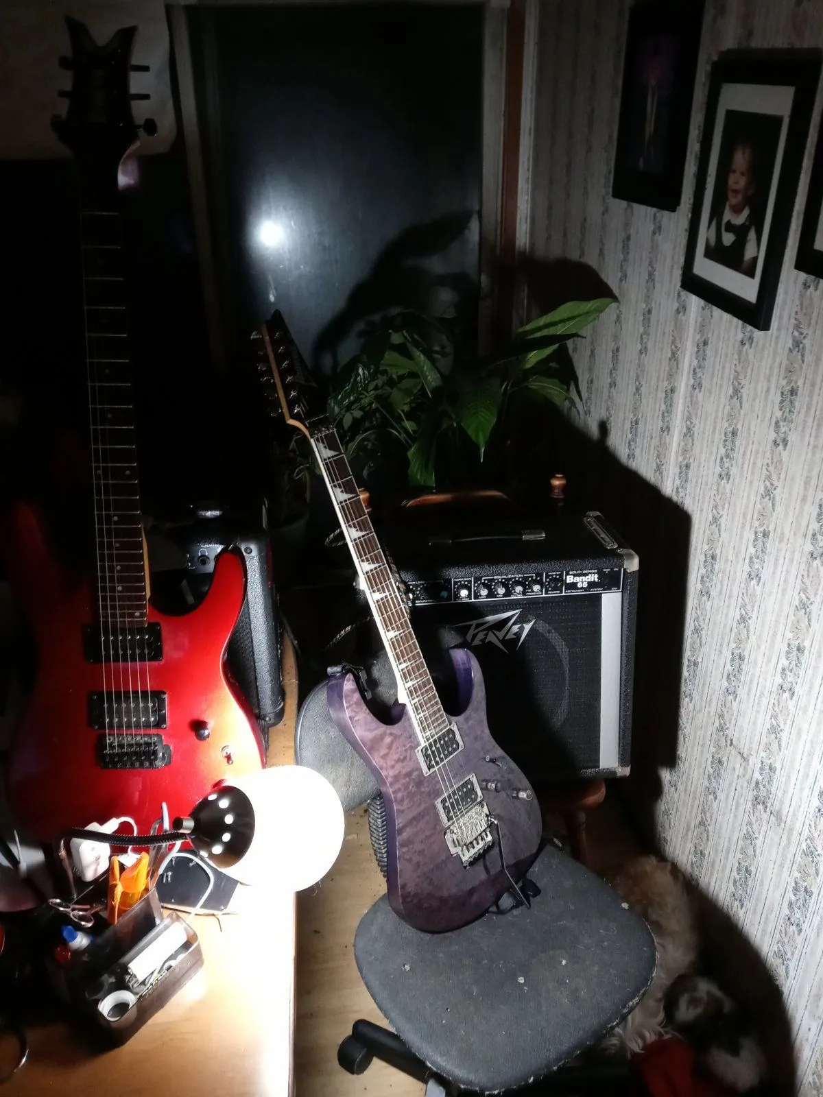 20210206_060447.webp