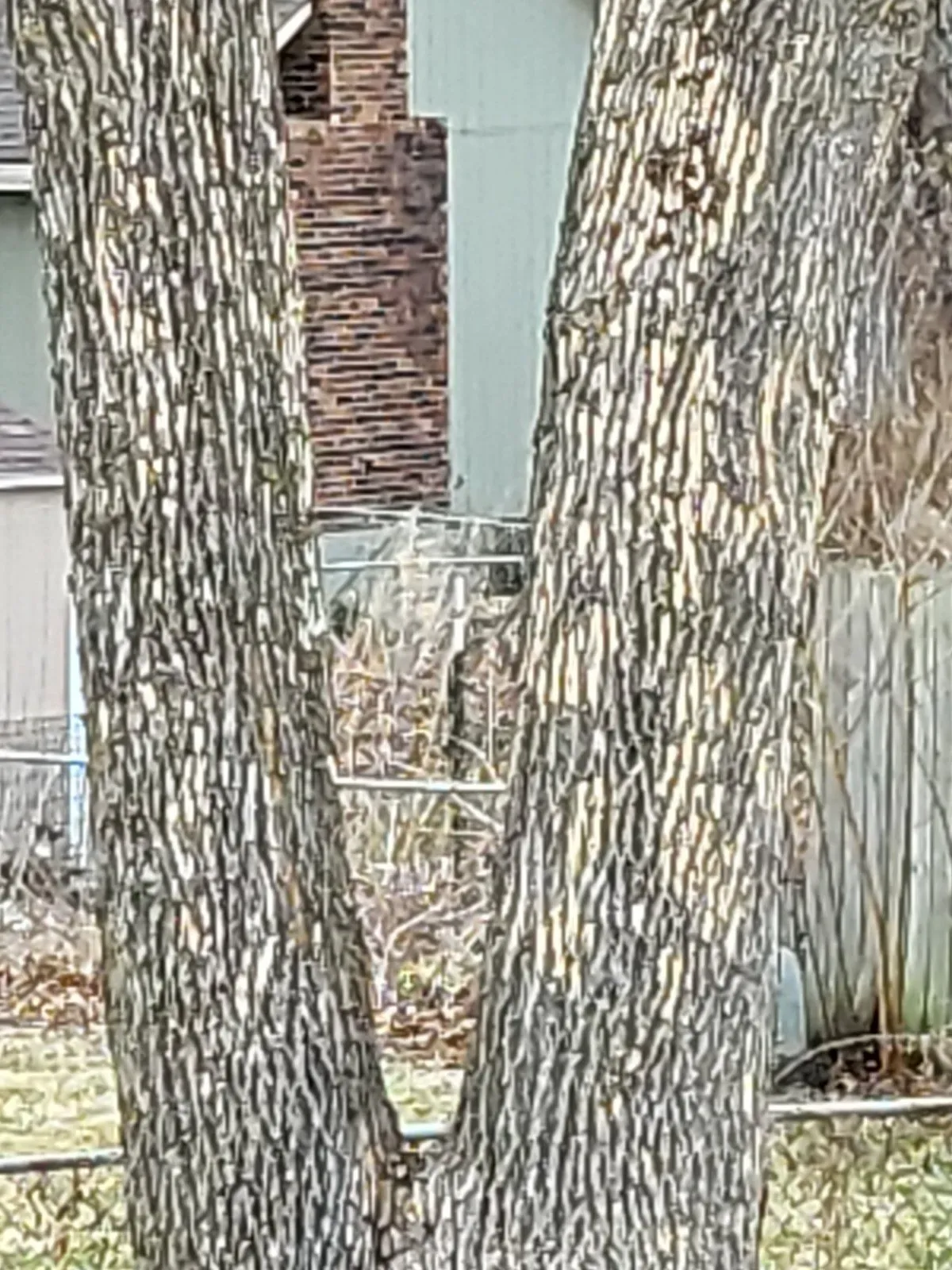 20220317_084325.webp