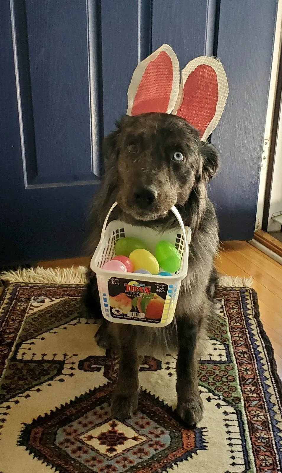 20230409_151324.webp