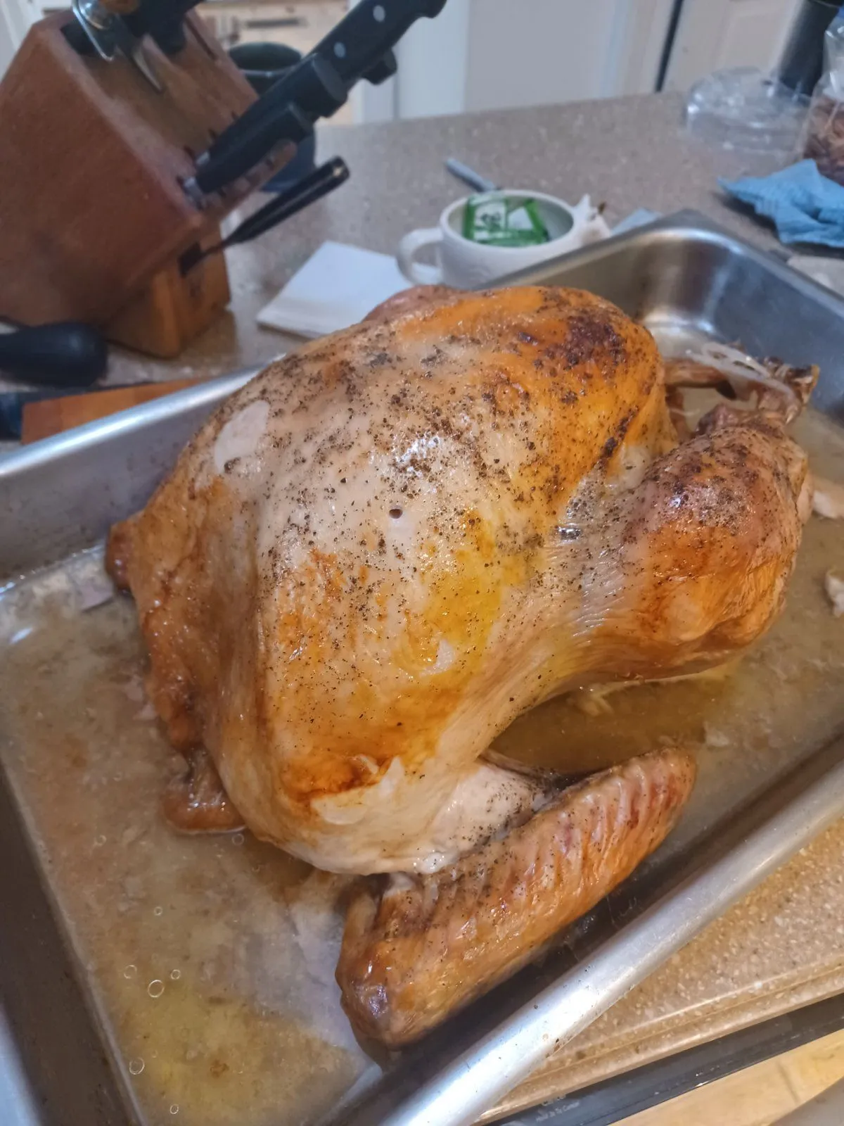 20231122_213842.webp