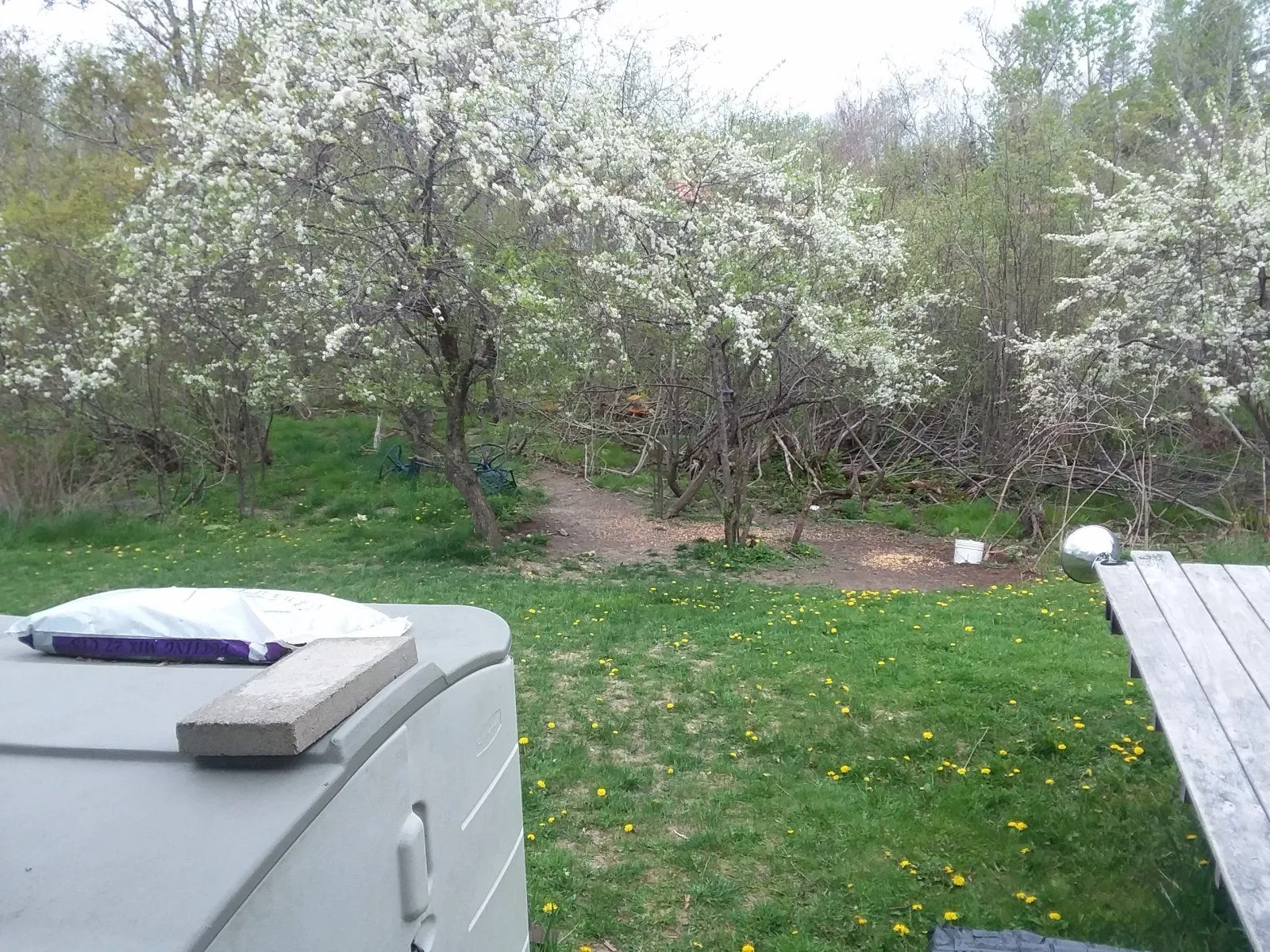 20240518_091621.jpg