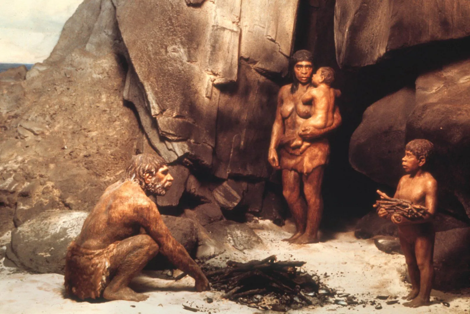 23neanderthal-1-superJumbo.webp