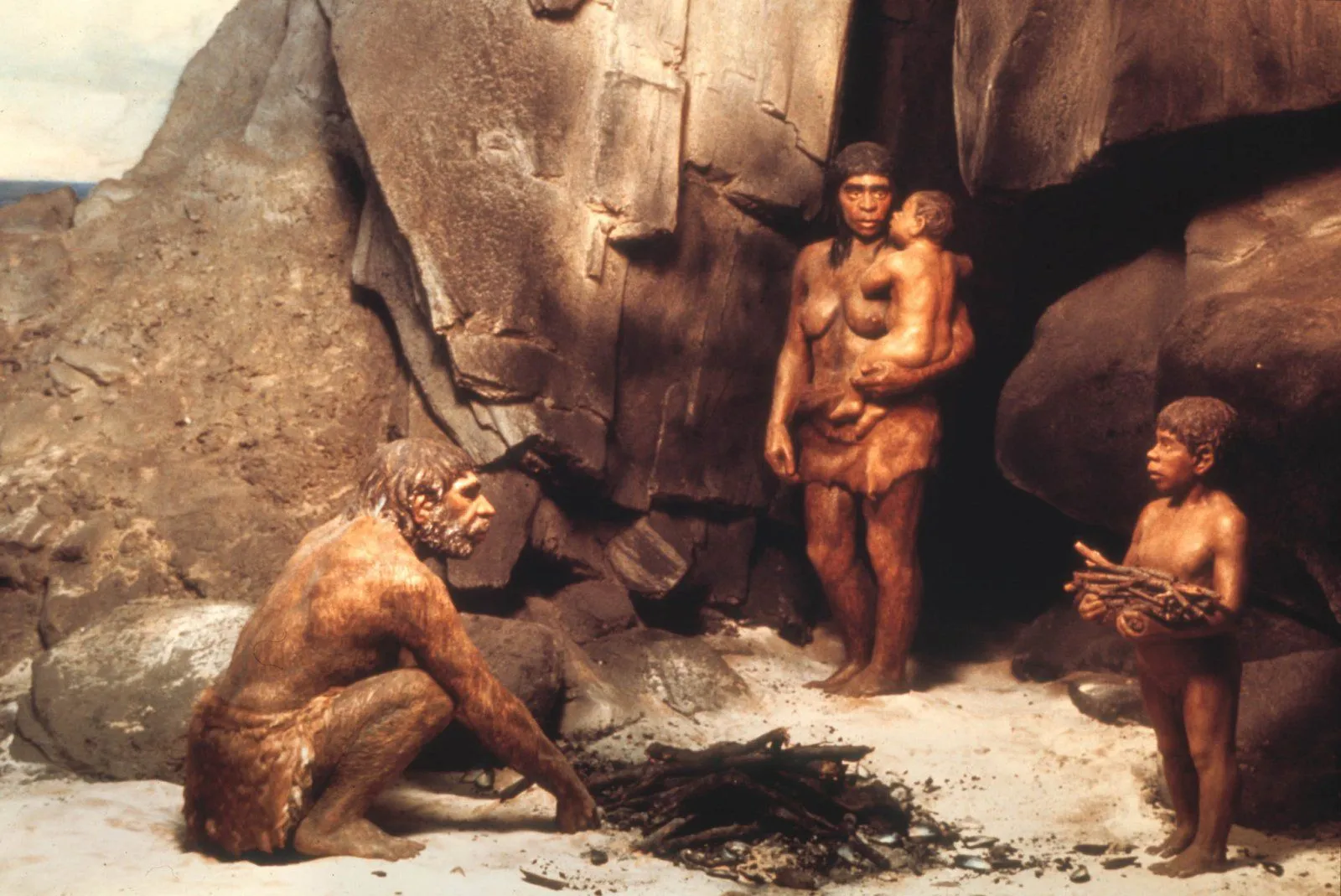 23neanderthal-1-superJumbo.webp