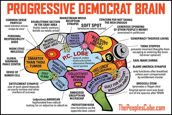 26.2-democrat-brain.webp