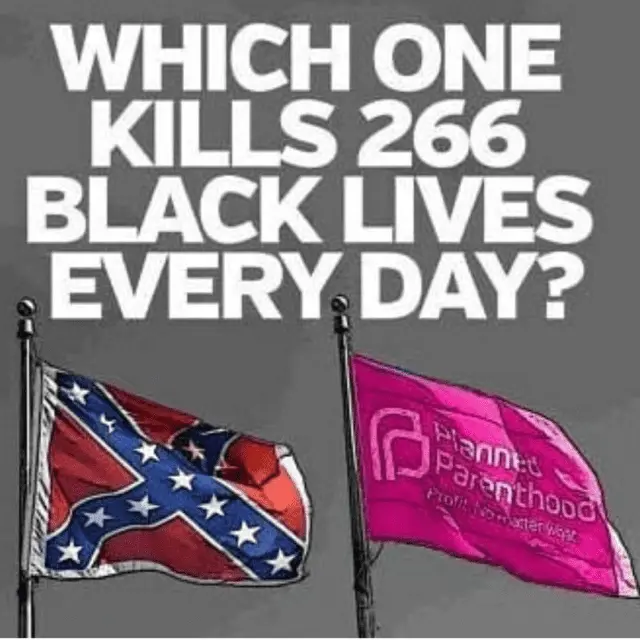 266 black lives killed every day.webp