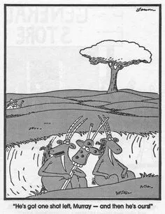 27a5e9a17d340c5fa6af4f4c297632c2--gary-larson-cartoons-herbal.webp