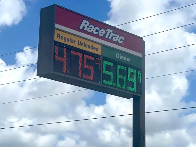 283911289_1003311690346645_3826242789120825162_n.jpg