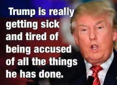 2e81b95a05f43291fdb991d69b1948ca--trump-funny-trump-university.webp