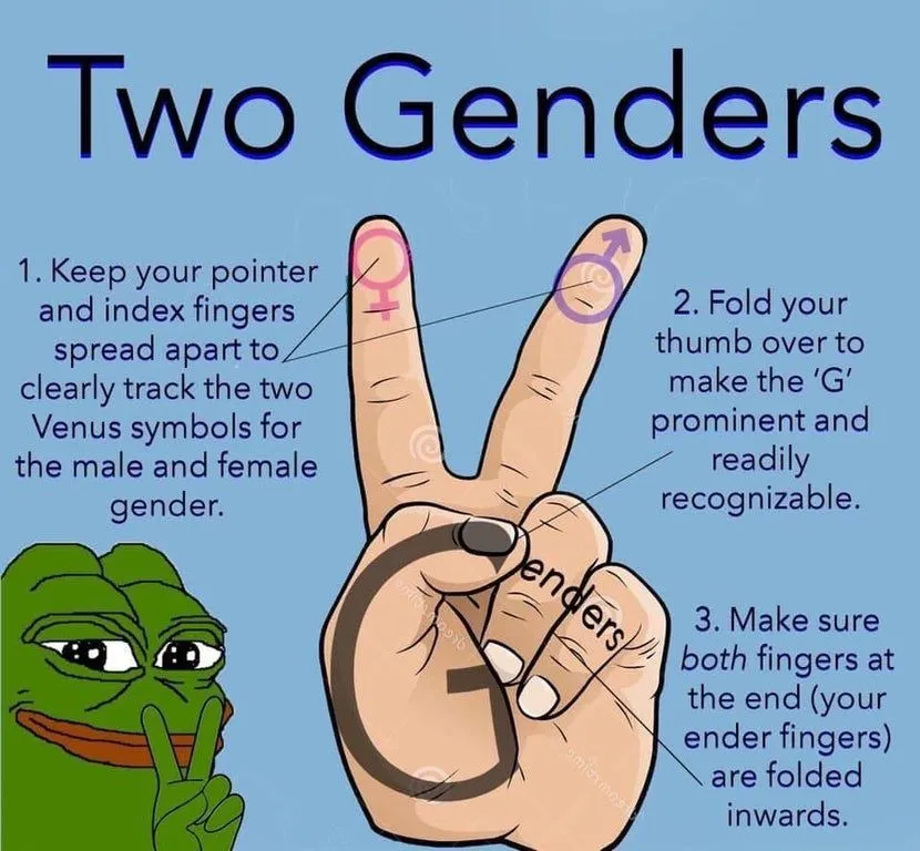 2genders.webp