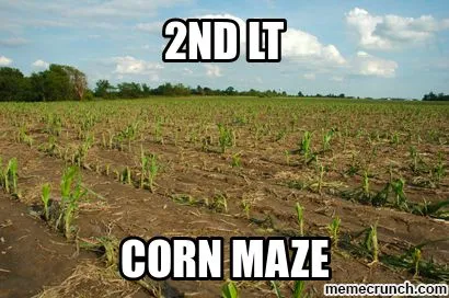 2nd-LT-corn-maze_w410h272.webp