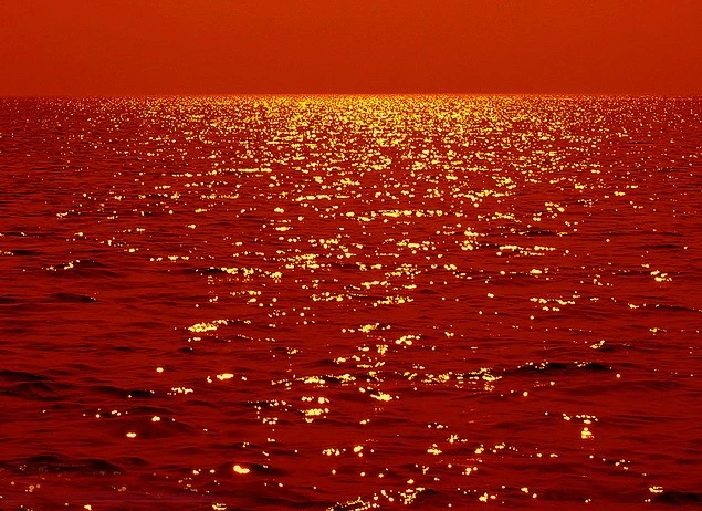 3435455798_ce8612e0de_z (2).webp