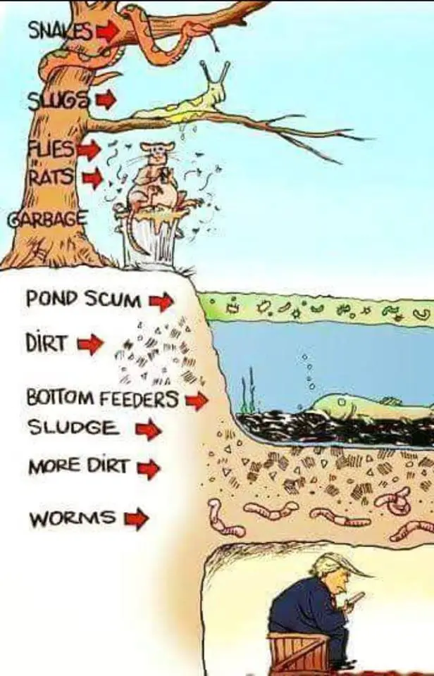 38446659_10215734006439428_8744777672078393344_n (1).webp