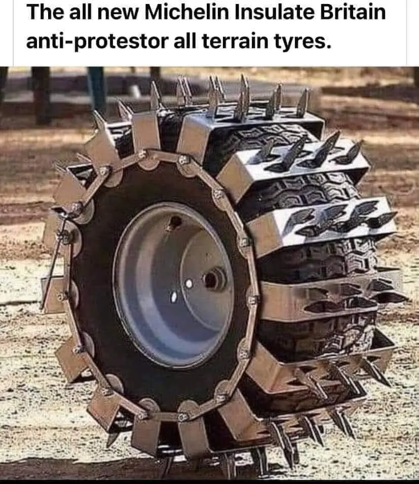 396732958_852618956611489_397615410383052079_n.webp