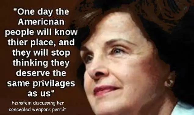 449de42aeb8d7086f191c2d0d6e4bf35--dianne-feinstein-is-that-so.webp