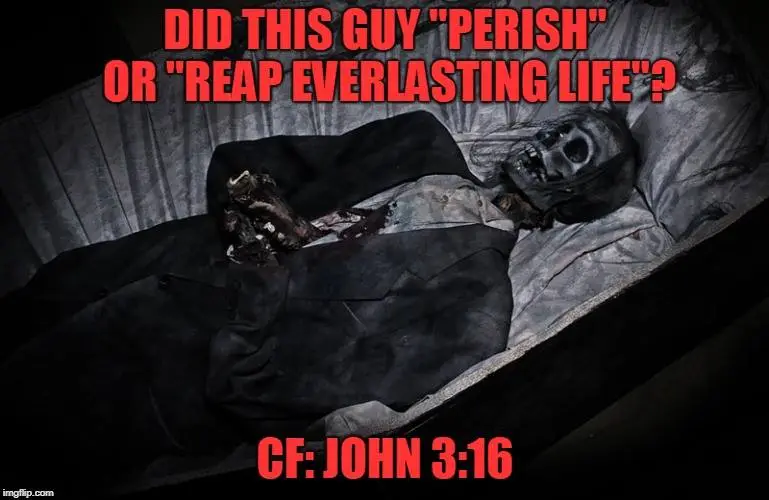 45502923_1018048578389205_1680653211532263424_n (1).webp