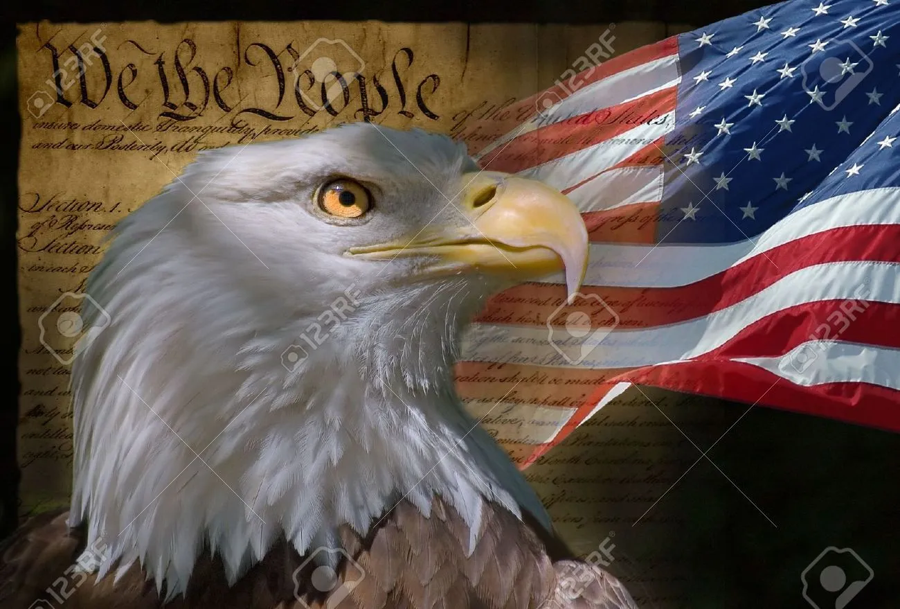 478752-US-Flag-Bald-Eagle-and-Constitution-montage-Stock-Photo-american.webp