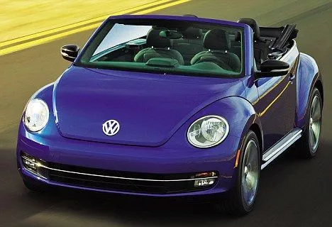 4847901ac01c927f02f9ecfd54ae5105--volkswagen-beetles-gardens.webp