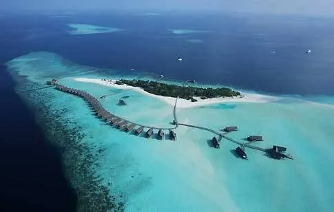 4fa193cd6a9b553034ad9103 (1).webp