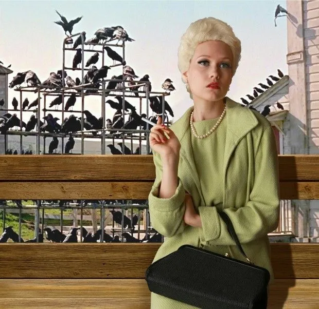 51f840541c303.image.webp