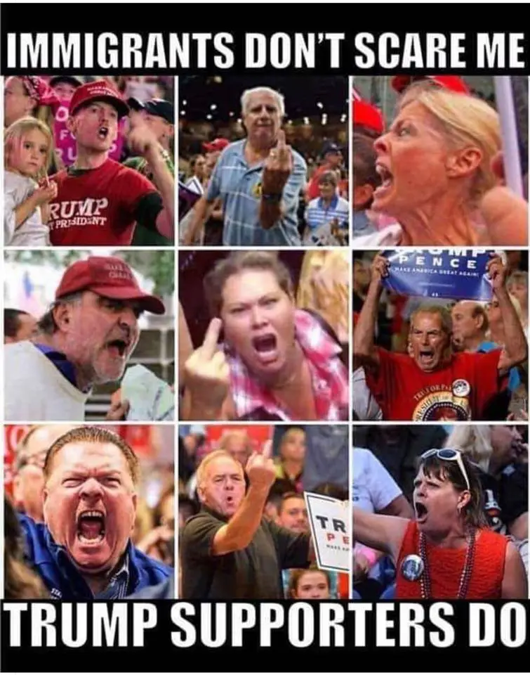 53570312_10213213220623147_4006711910253723648_n.webp