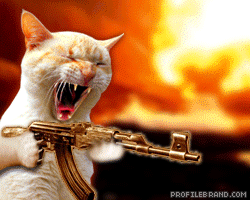 558_machine-gun-cat.gif