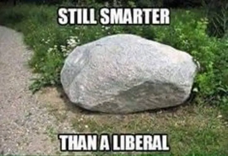 5ad65b5264b73e06a4d86bbcc9bc8d37--liberal-humor-stupid-liberals.jpg