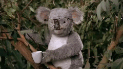 63924301-D1BC-40A0-9E70-7F8B376C4845.gif