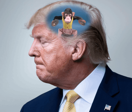 66faa9eb7e79f320437621.gif