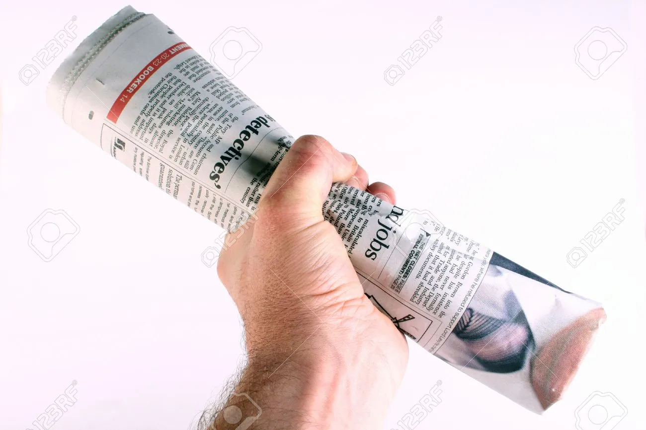 691917-rolled-up-newspaper-in-a-closed-fist-.webp
